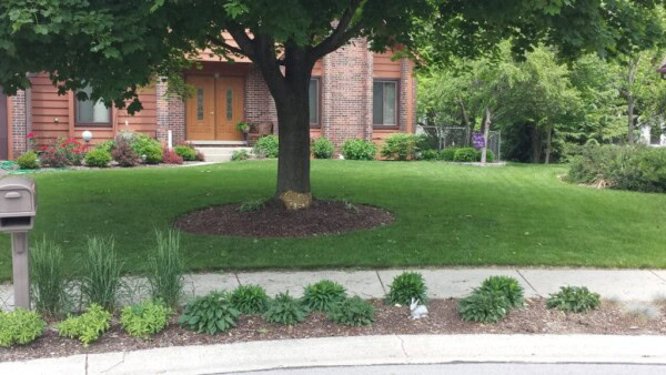 bayside ct 2 after 1024x576