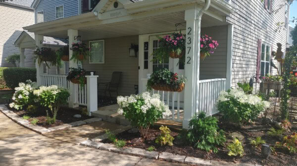 corner front plants stoen baskets