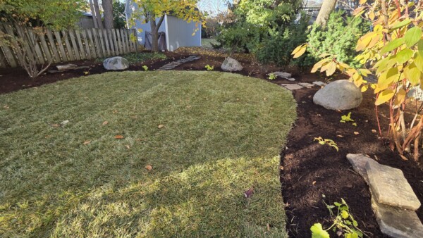 elmhurst clean sod stone