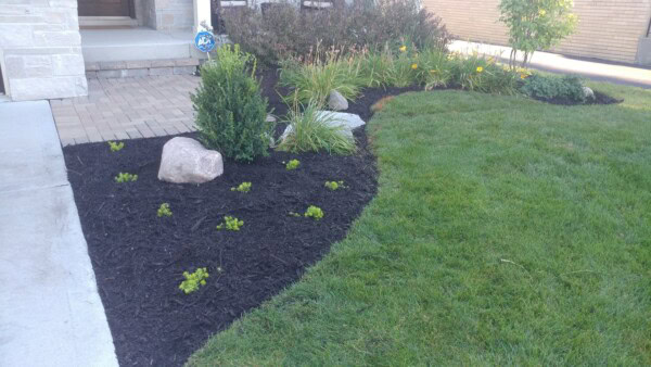 elmhurst front plantings unknown