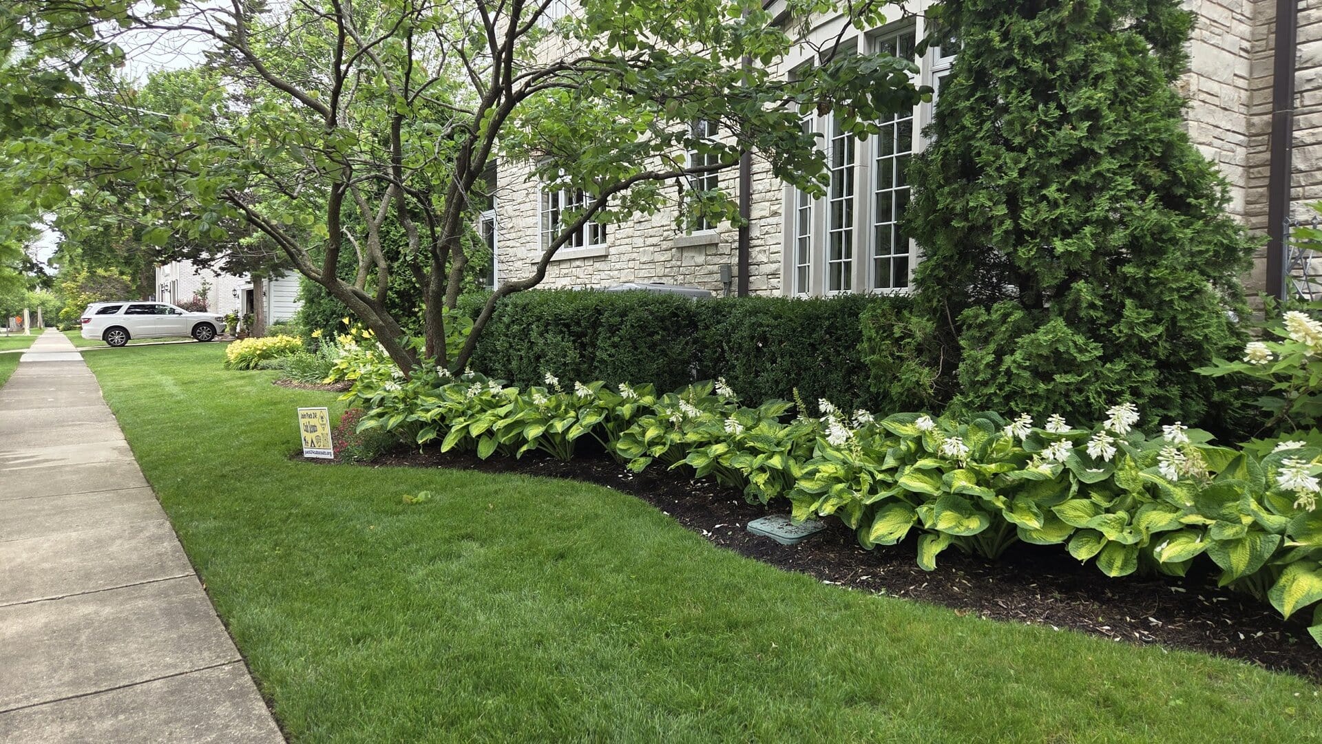 elmhurst maintenance