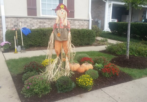 fall plantings