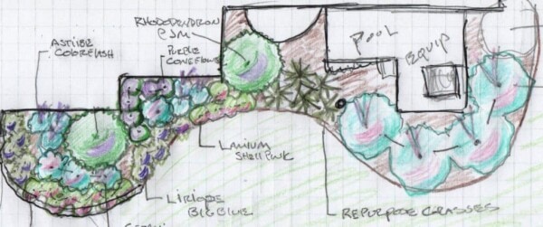 faut backyard sketch 1 1024x428