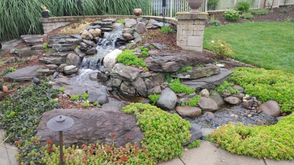 fountain hand weed control
