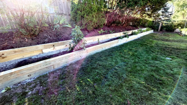 hannon timbers after