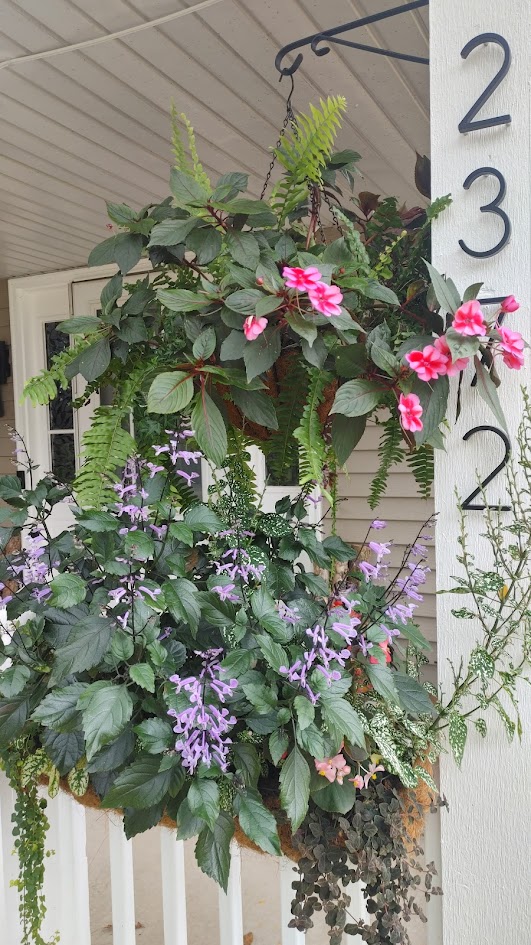 home flowers