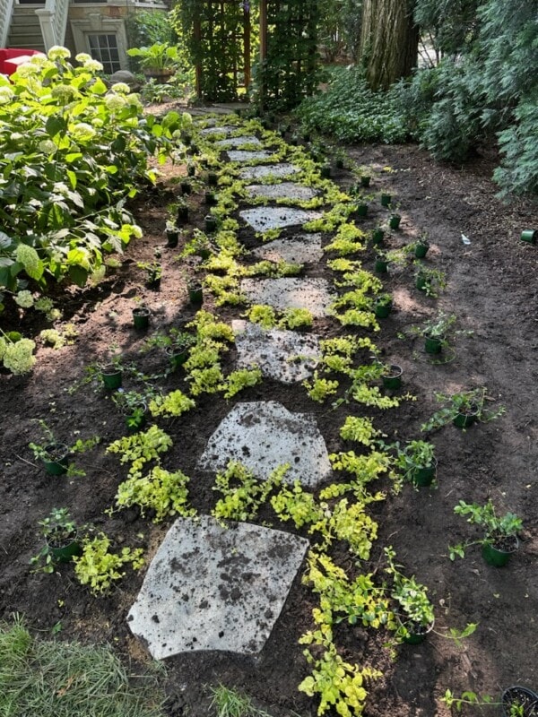 koutsky garden path after