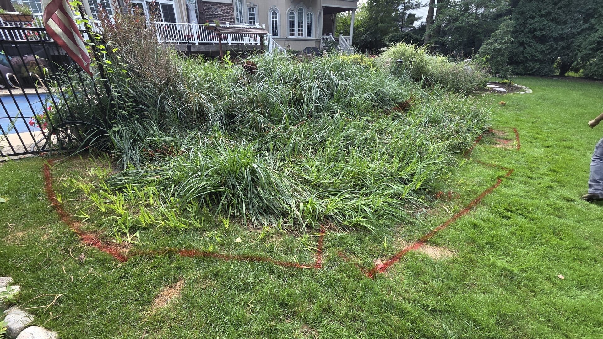 koutsky pond grasses