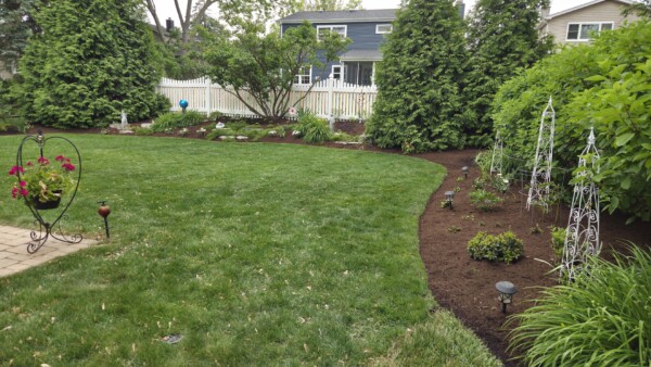 lombard back mulch