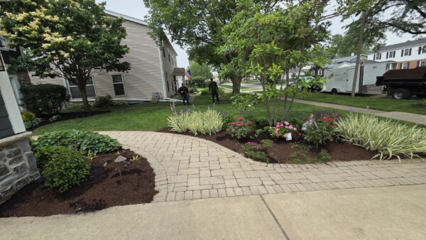 lombard landscape