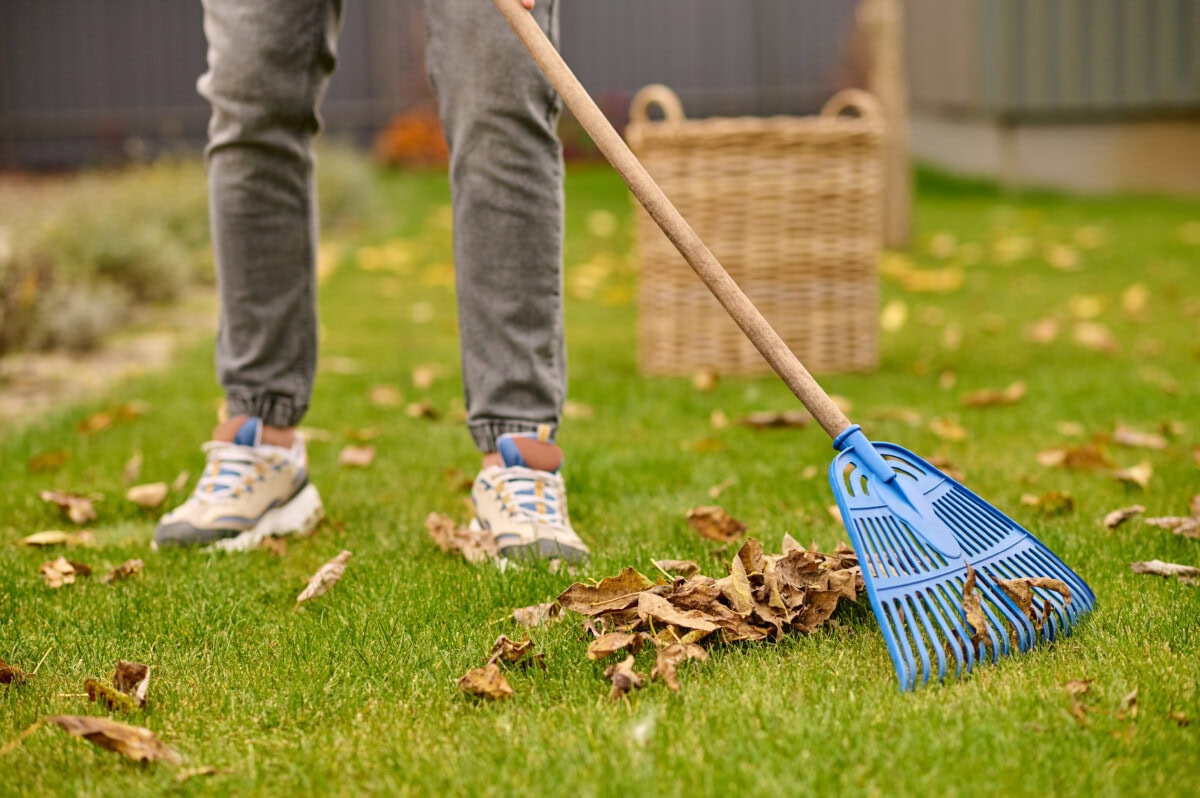 male feet on lawn and rake near leaves