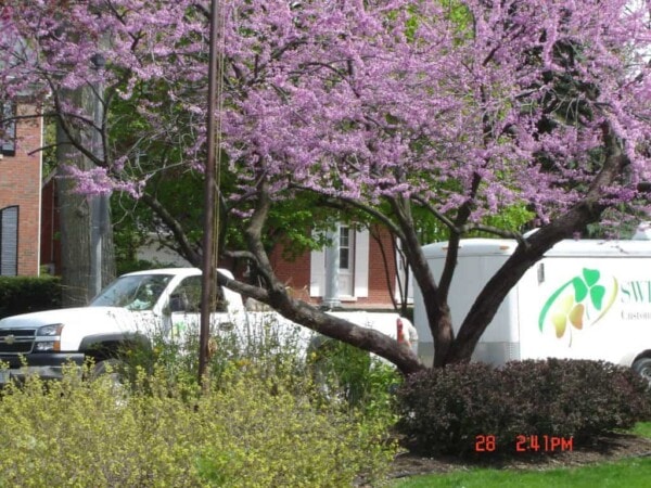 maria millard sweeneys at work 1024x768