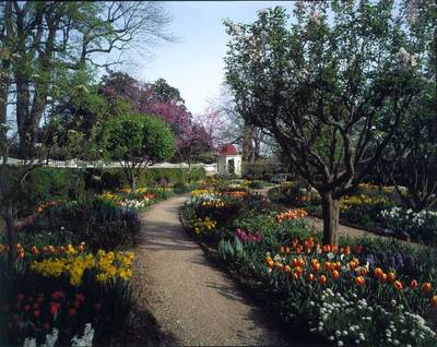 Mount Vernon #1