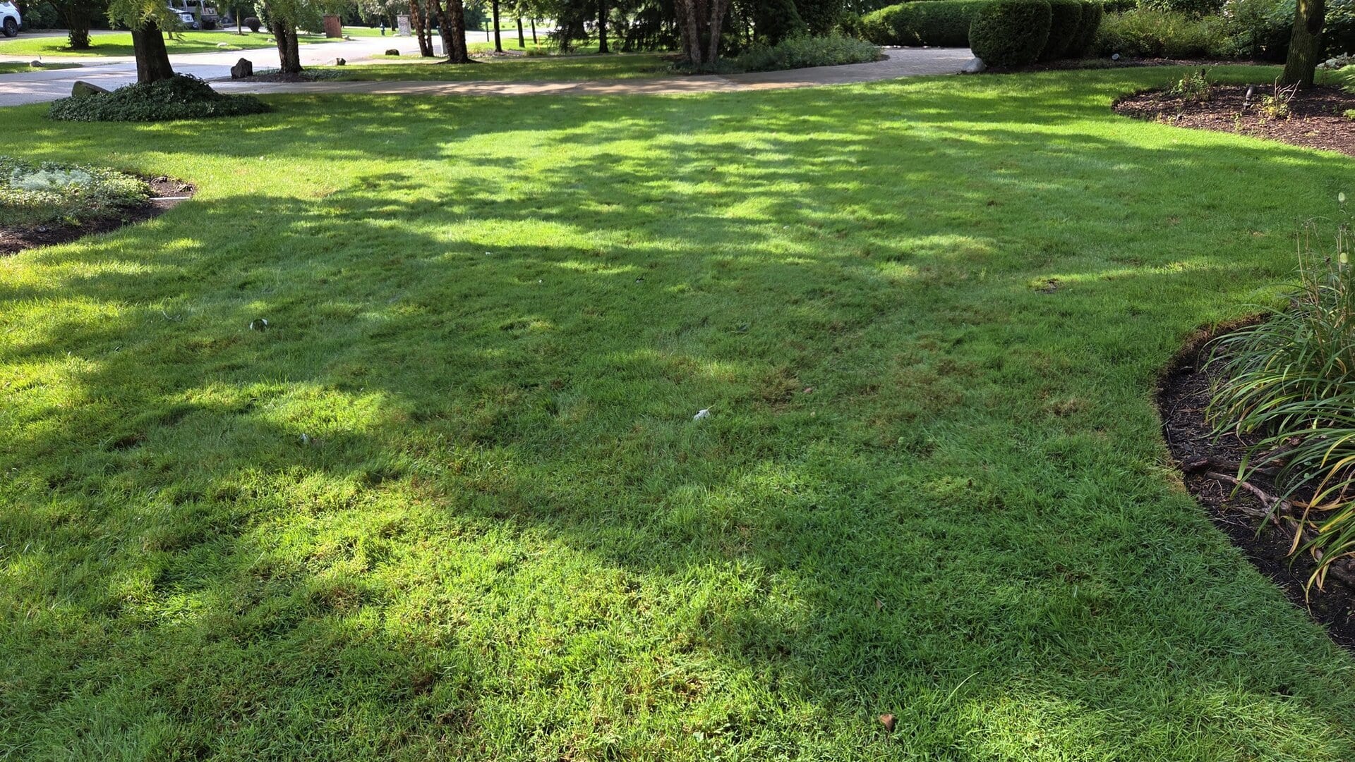 mowing