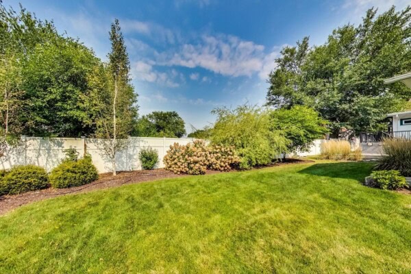 padavich backyard after mature