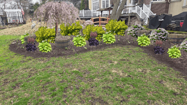 pond bed design