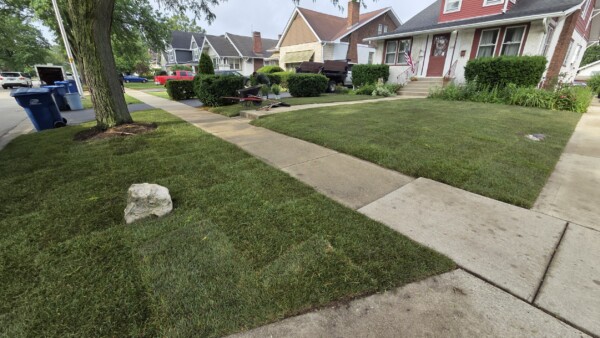 sod install after seaton