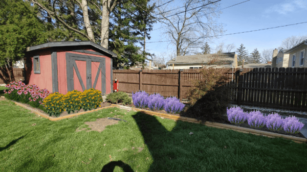 stumpf shed beds design
