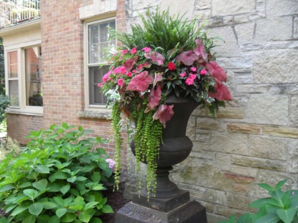 sturges parkway 1 1024x768