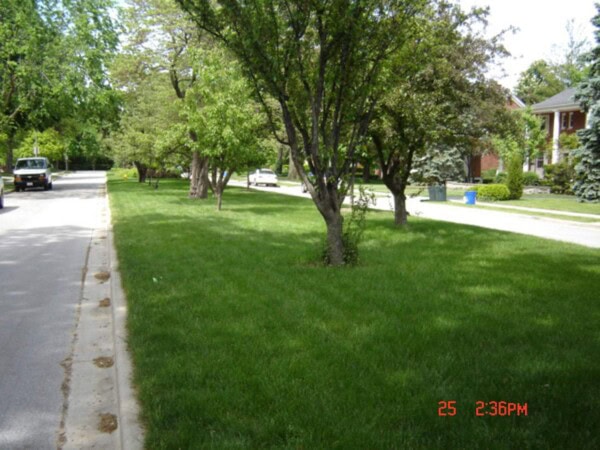 sturges parkway turf issue after 2