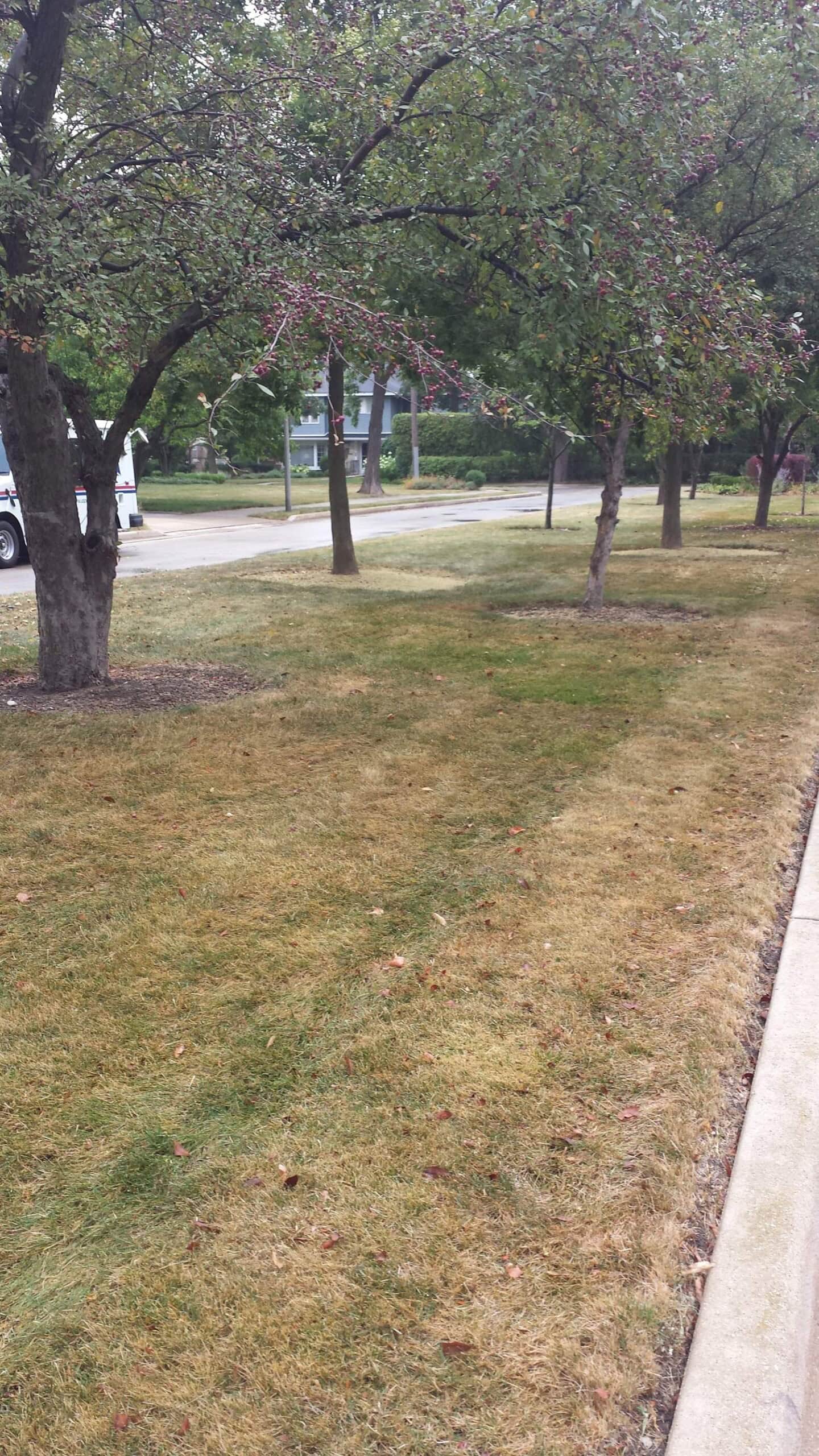 sturges parkway turf issue before 2