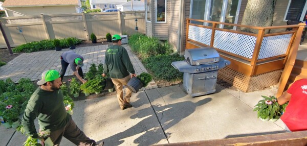 sweeney's in action with plants
