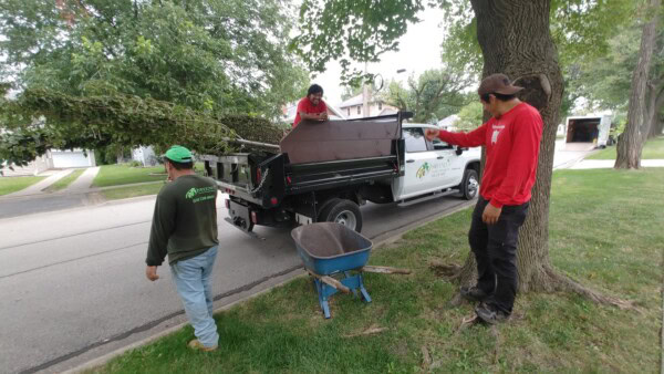 sweeney's in action with trees
