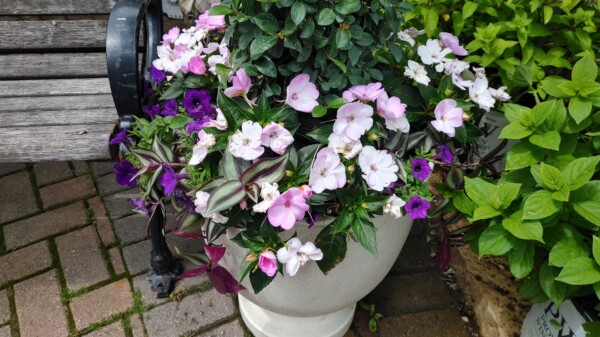 urn plantings the fields