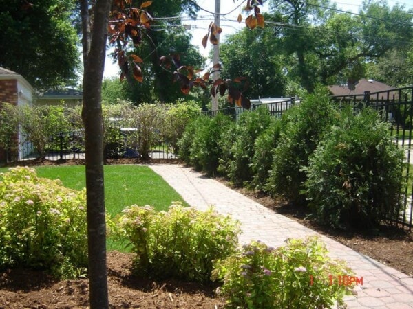 woodlawn after 1 1024x768